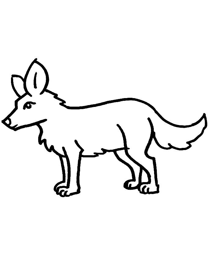 Fox Color Sheet Coloring Page