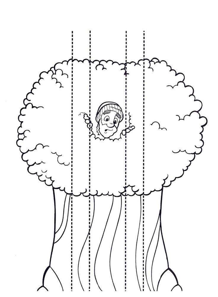 Free Bible Zacchaeus Coloring Page