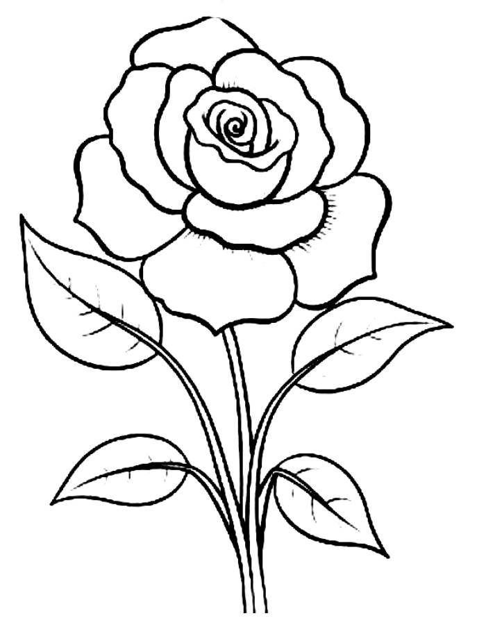 Free Pictures Of Roses To Color Coloring Page