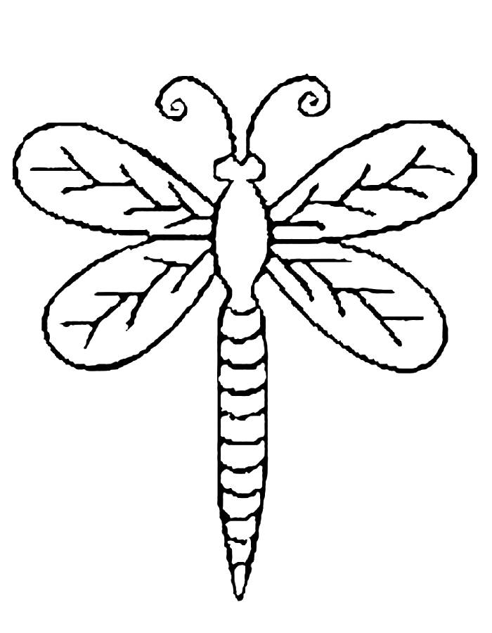Dragonfly Coloring Pages Free Printable PDF Dragonfly Coloring Pages Free Printable PDF