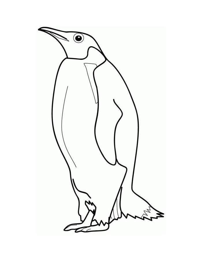 Free Printable Of Penguins Coloring Page