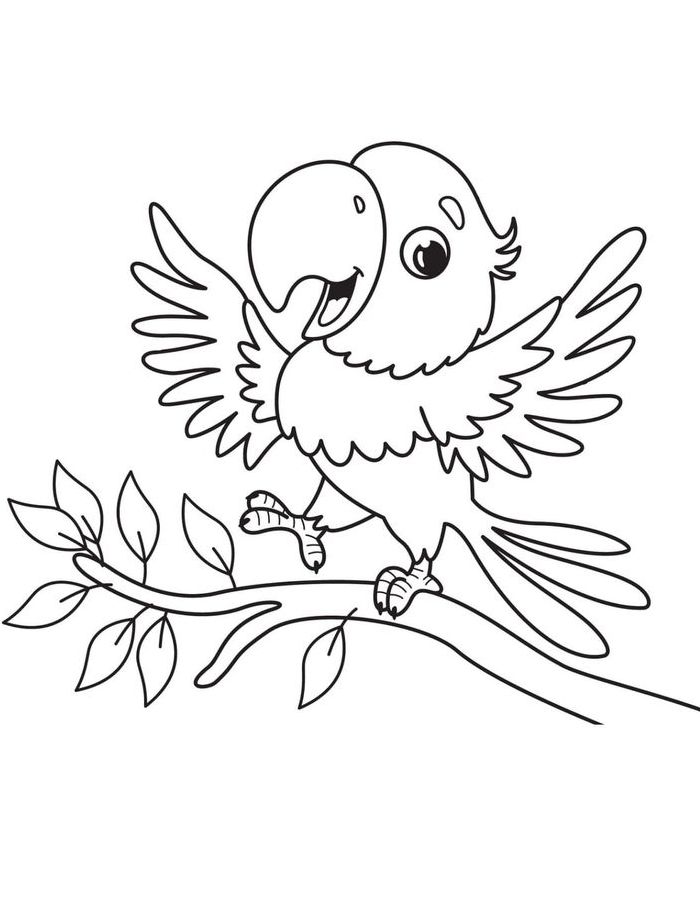 Free Printable Pictures Of Parrots Coloring Page