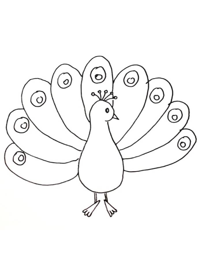 Free Printable Pictures Of Peacocks Coloring Page