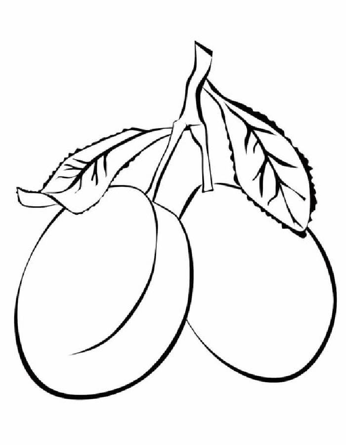 free printable plums coloring