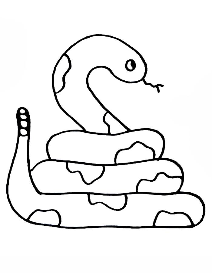 Free Printable Snake Coloring Page