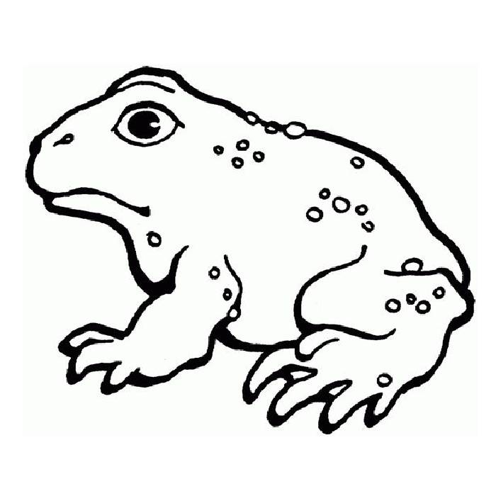 Free Printable Toad Coloring Page