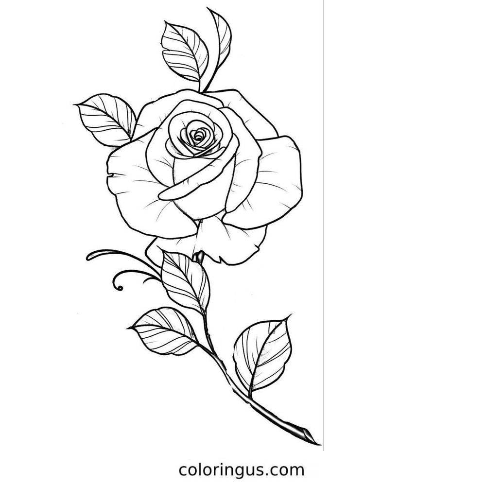 Original Free Rose Coloring Page