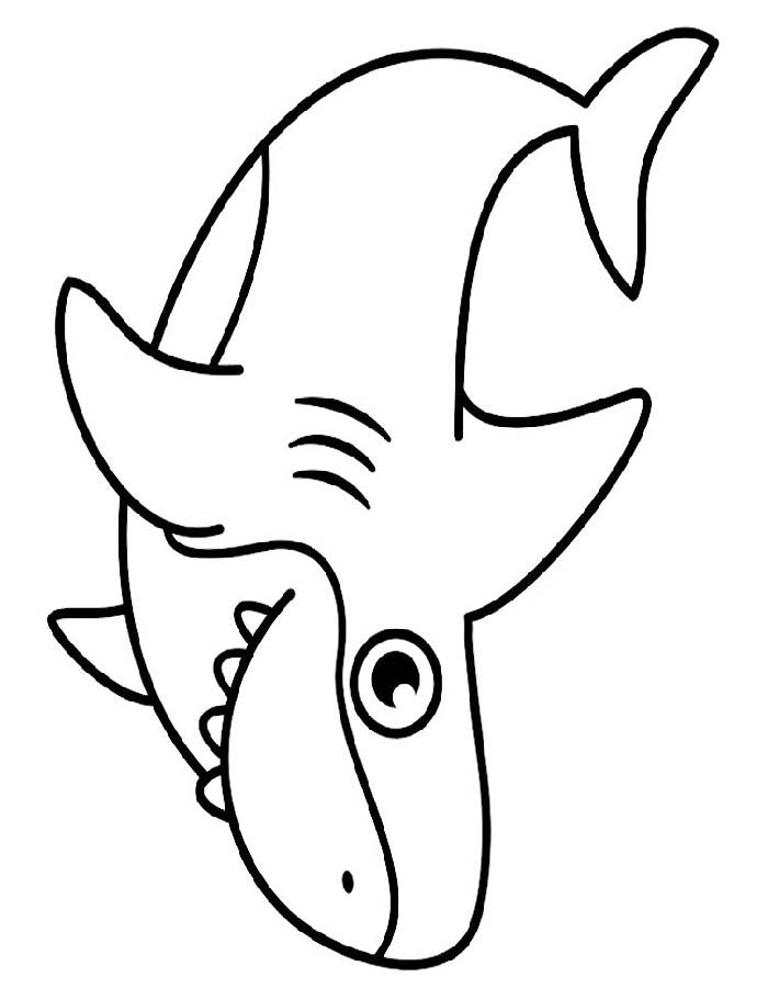 Free Shark Pictures To Color