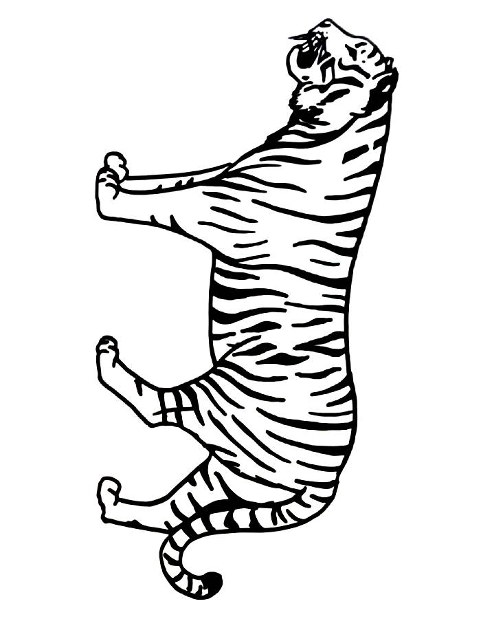 Free Tiger Book Free Print Coloring Page