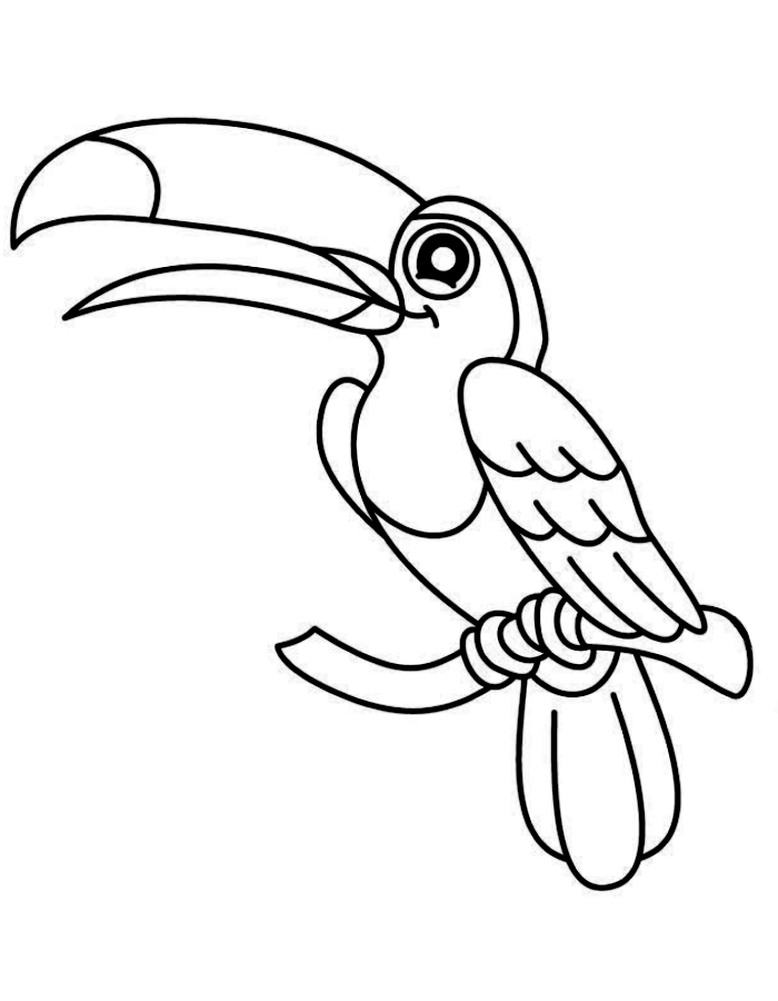 Free Toucan Printable Coloring Page