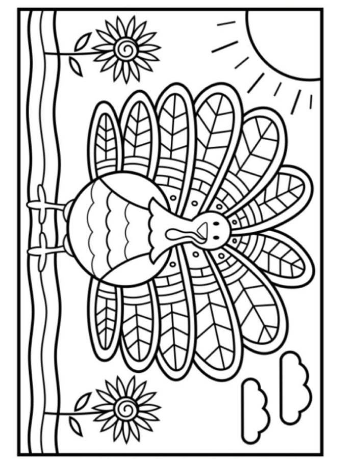 Free Turkey Color Sheet Coloring Page