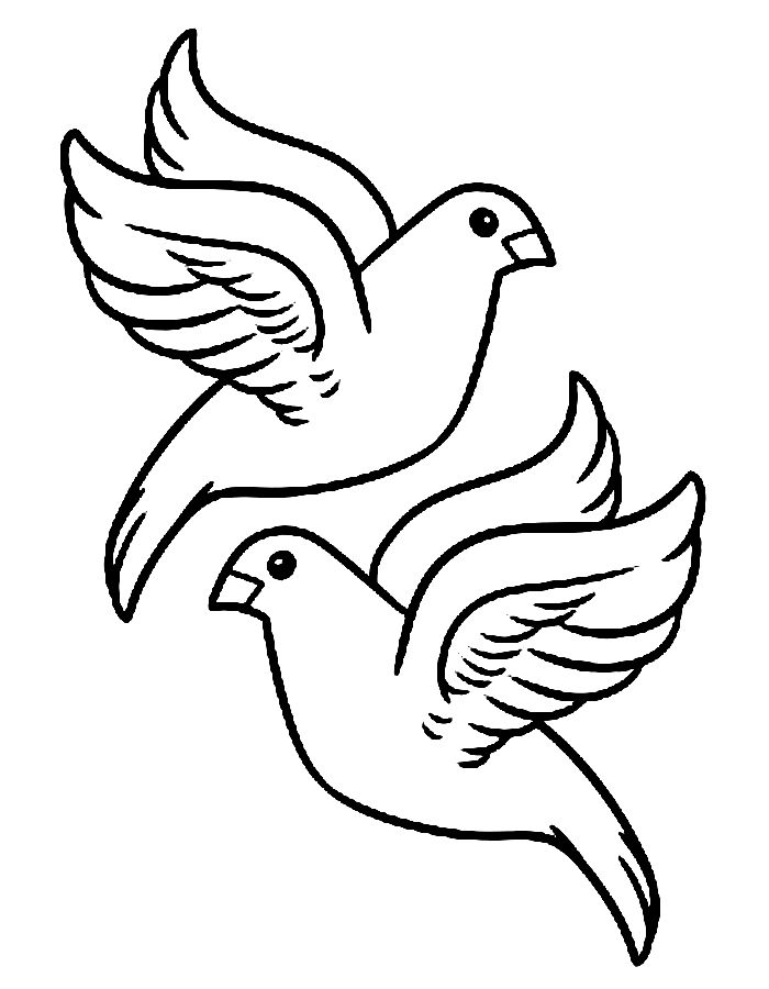 Free Turtle Doves Coloring Page