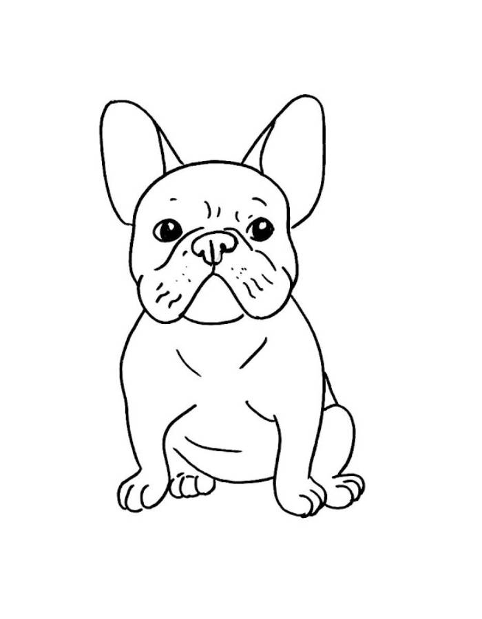 French Bulldog Coloring Pages