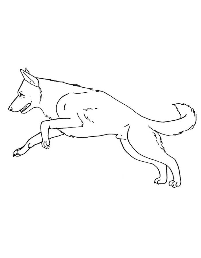 German Shepherd Dog Outline Drawing