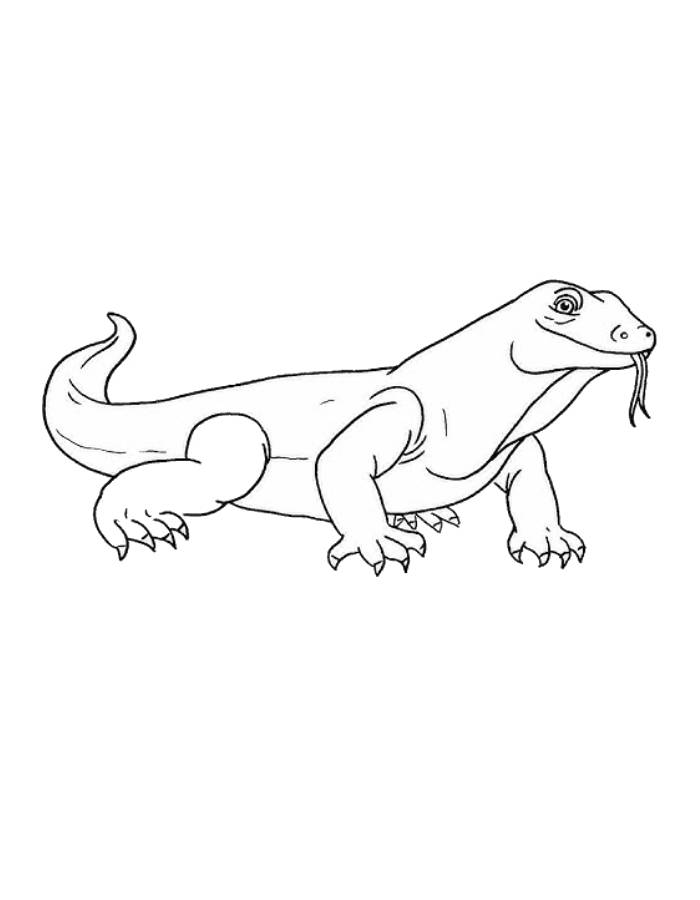 Giant Komodo Dragon Drawing Easy Coloring Page
