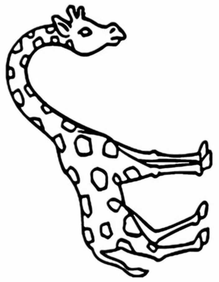 Giraffe Easy Drawing Coloring Page