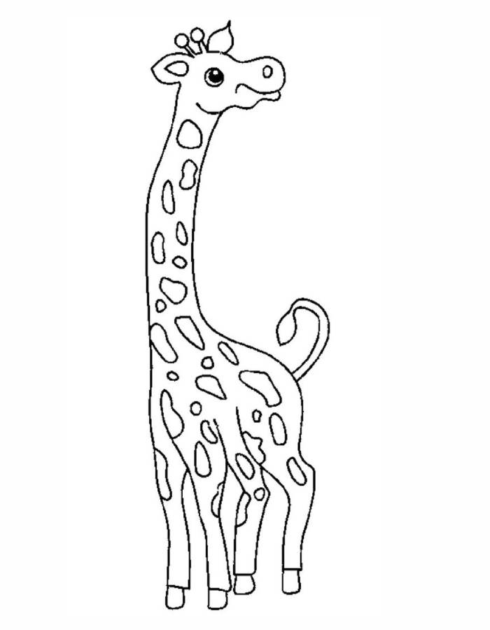 Giraffe Images Coloring Page