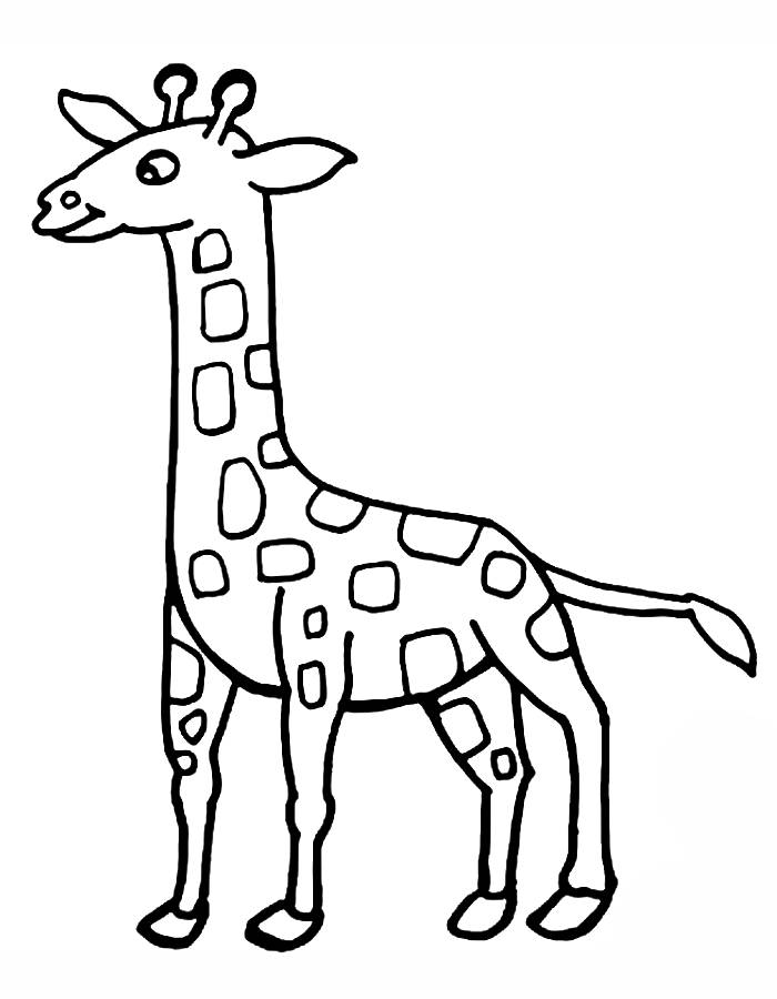 Giraffe Outline Pdf Coloring Page