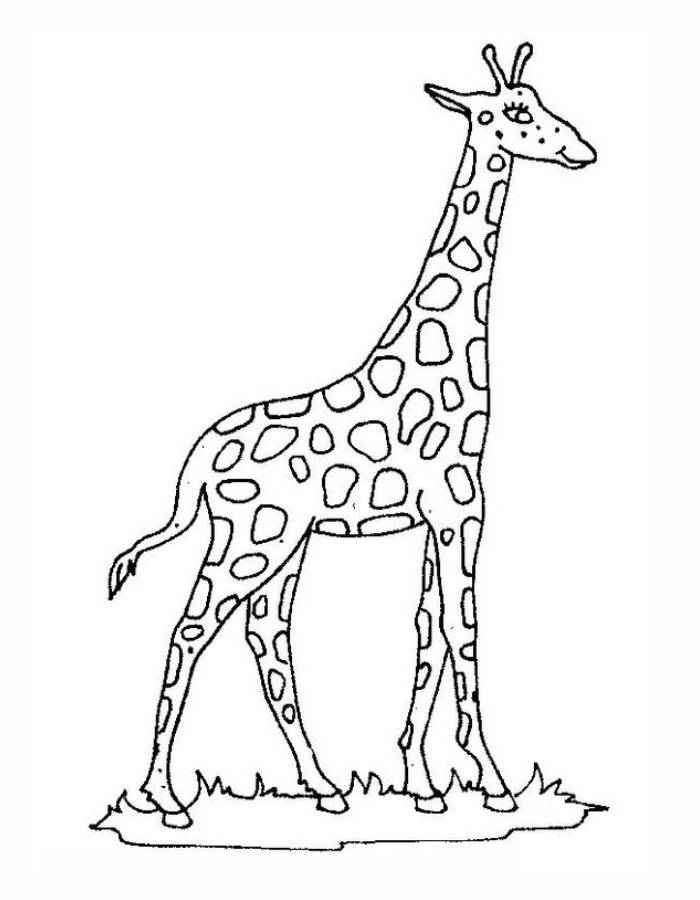 Giraffe To Color Coloring Page