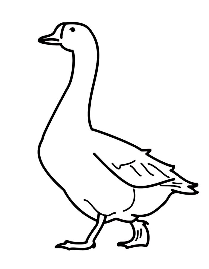 Goose Drawing Cute Coloring Page | Coloringus