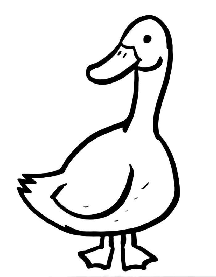 Goose Drawing Easy Coloring Page