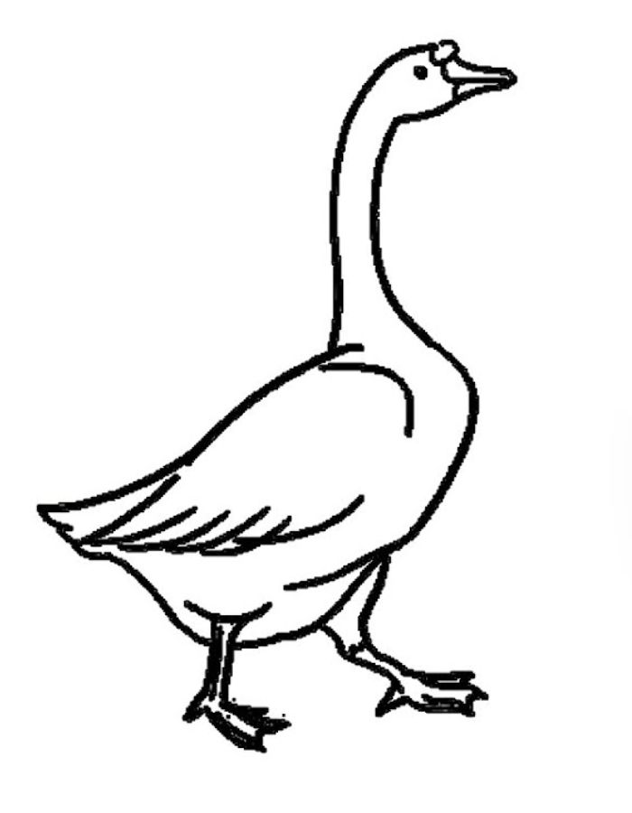 Goose Drawing Coloring Page