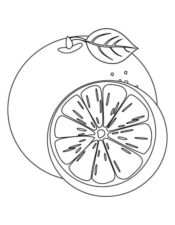 Grapefruit Clipart Coloring Page