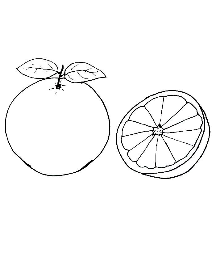 Grapefruit Fruit Outline Coloring Page