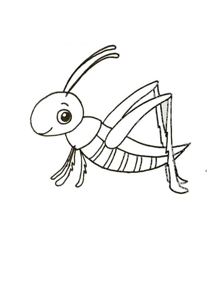 Grasshopper Image For Kids Coloring Page