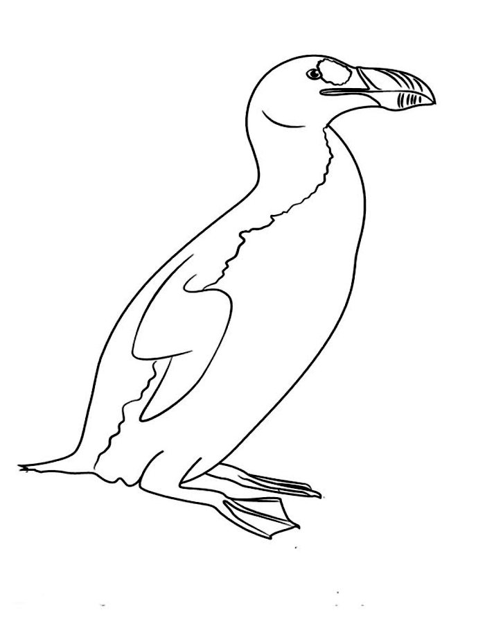 Great Auk Coloring Page