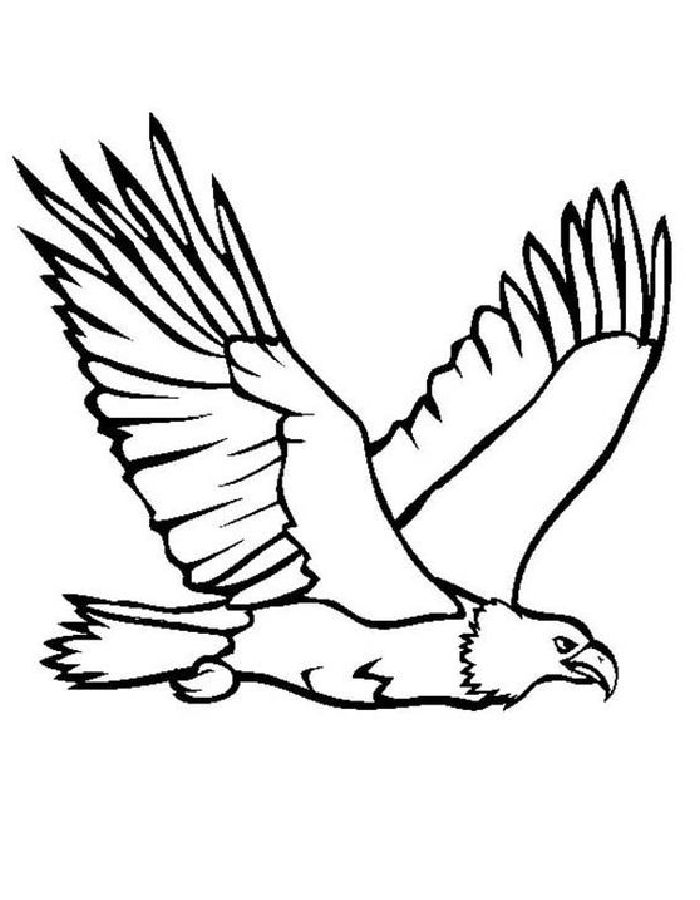 Great Flying Bald Eagle Coloring Page