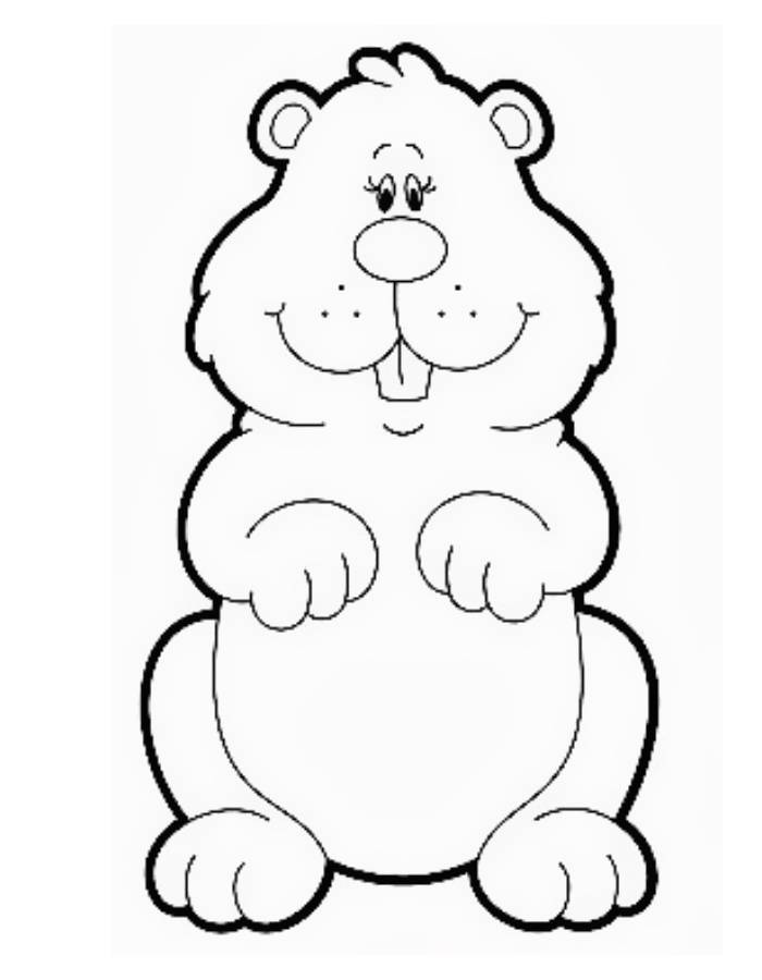 Groundhog  coloring page