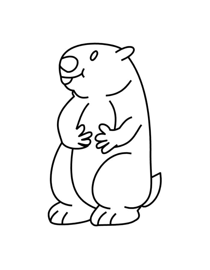 Groundhog Printable Pdf For Kids Coloring Page