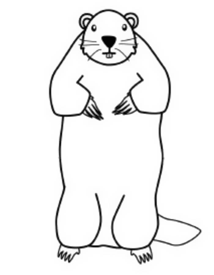 Groundhog Coloring Pages (Free Printable PDF Sheets)