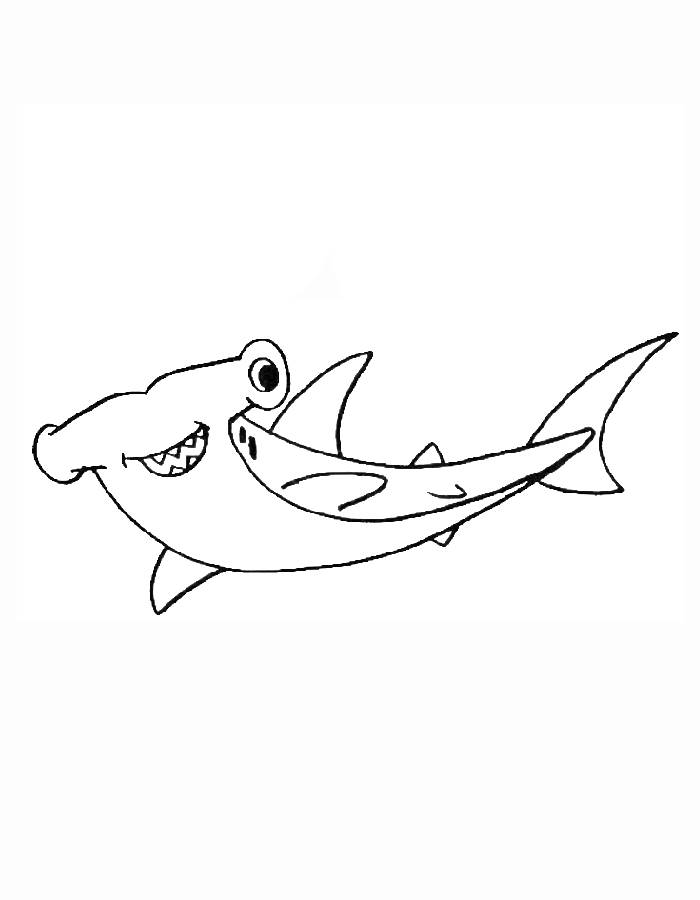 Hammerhead Shark Drawing