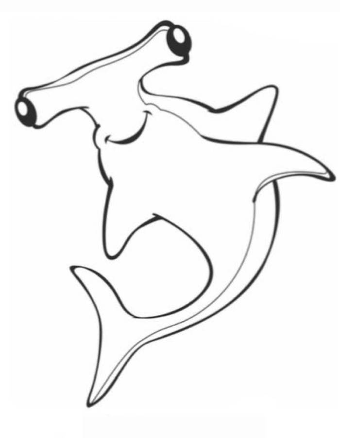 hammerhead shark outline pdf