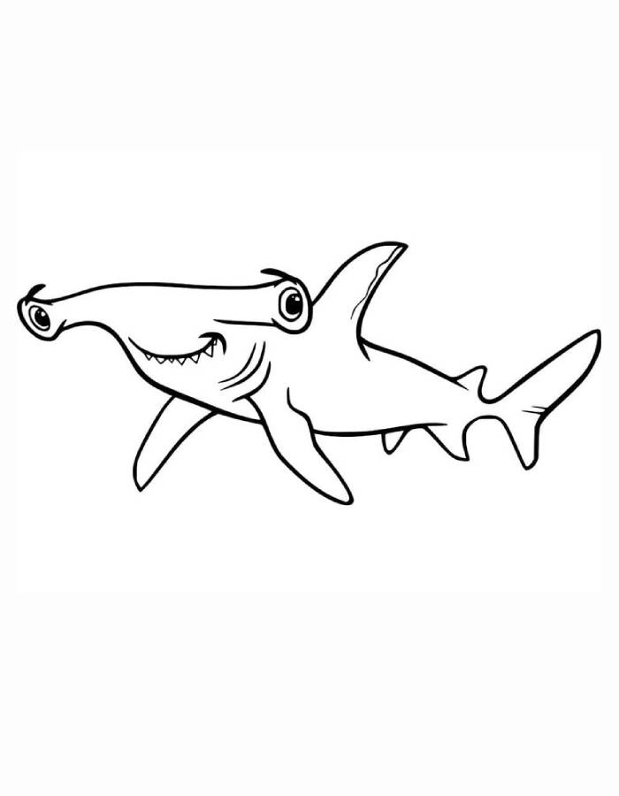 Hammerhead Shark Simple Art