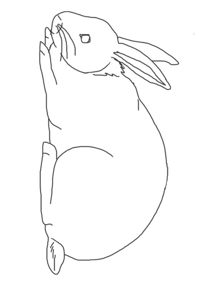 Hare Coloring Page