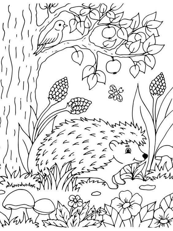 Hedgehog And Apple Tree