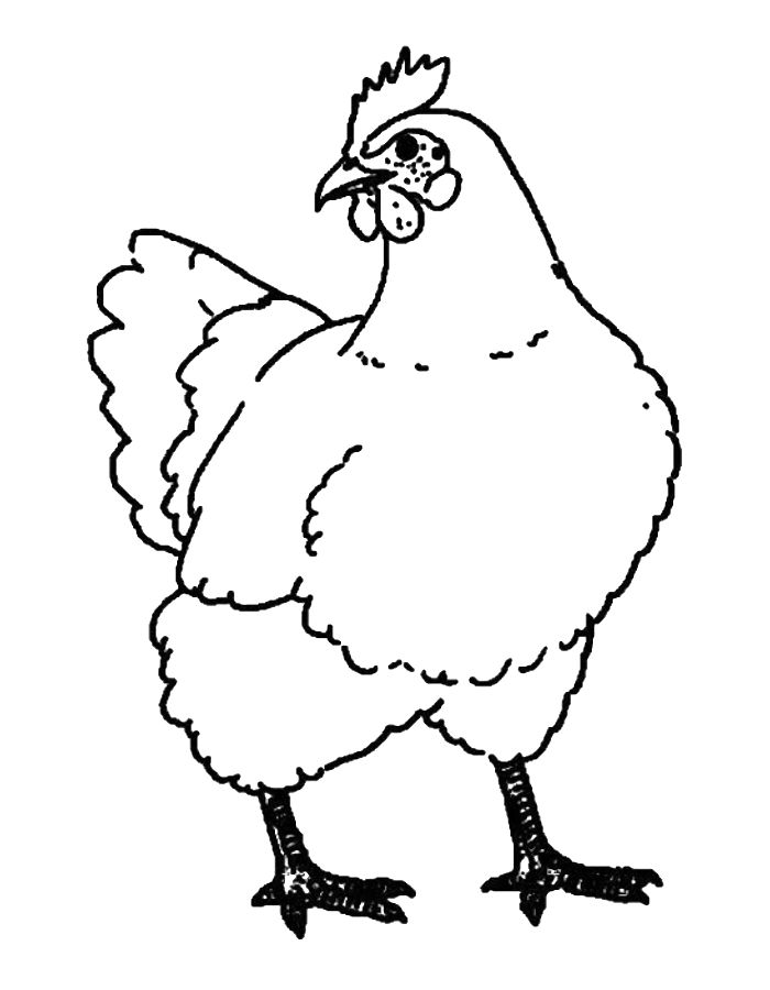 Hen Coloring Pages