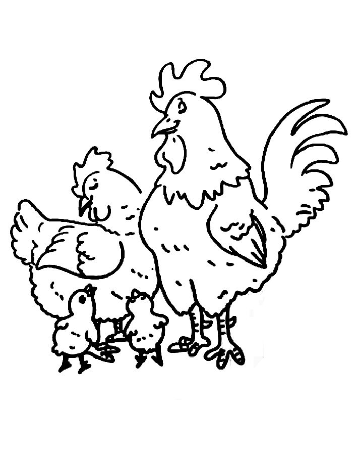 Hen Family Hen Family Coloring Page