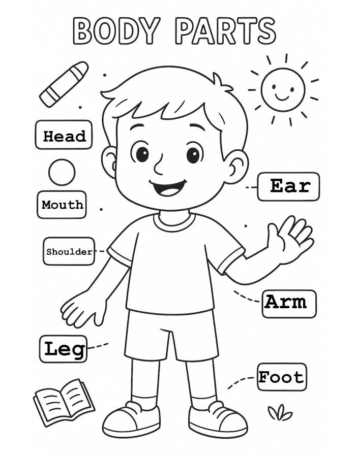 parts of the body coloring page