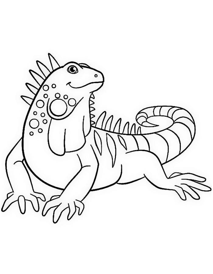 Iguana Coloring Pages