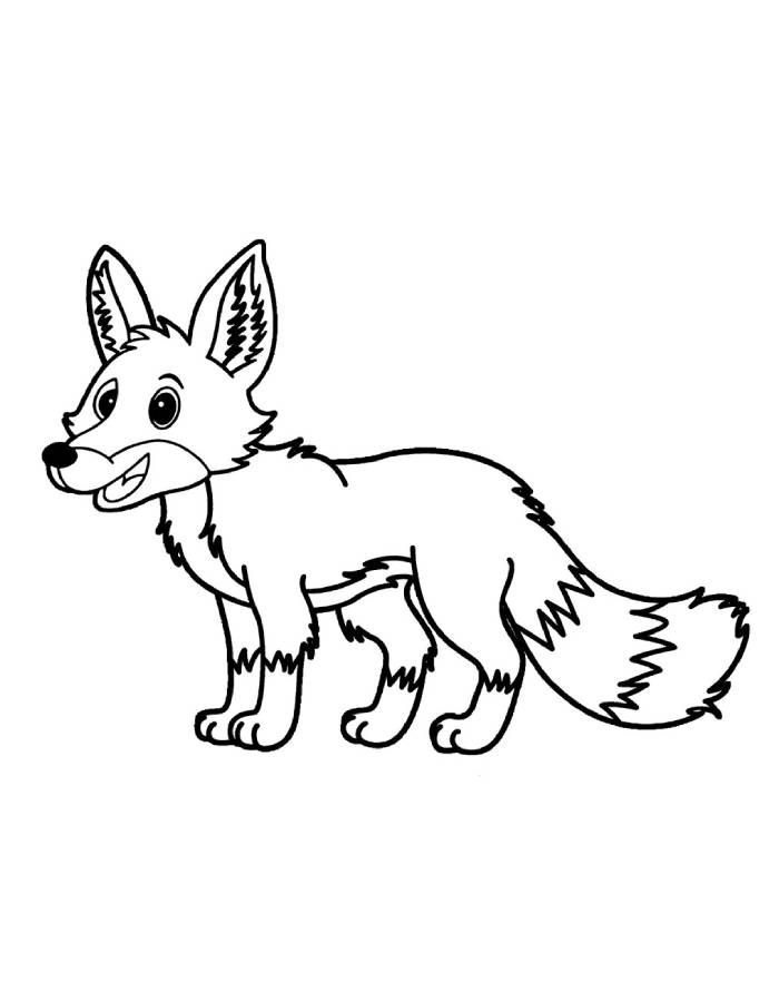 Jackal Animal Coloring Page