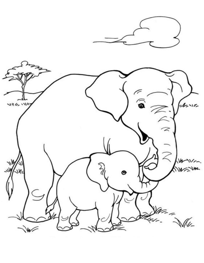 Jungle Animal Printouts Coloring Page