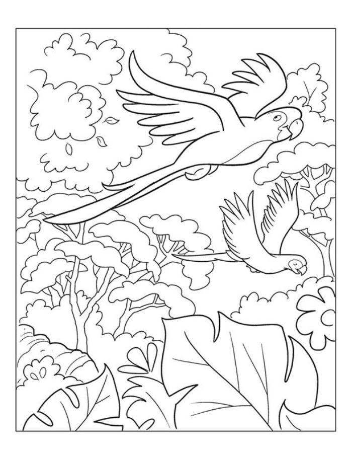 Jungle Bright Parrots Coloring Page