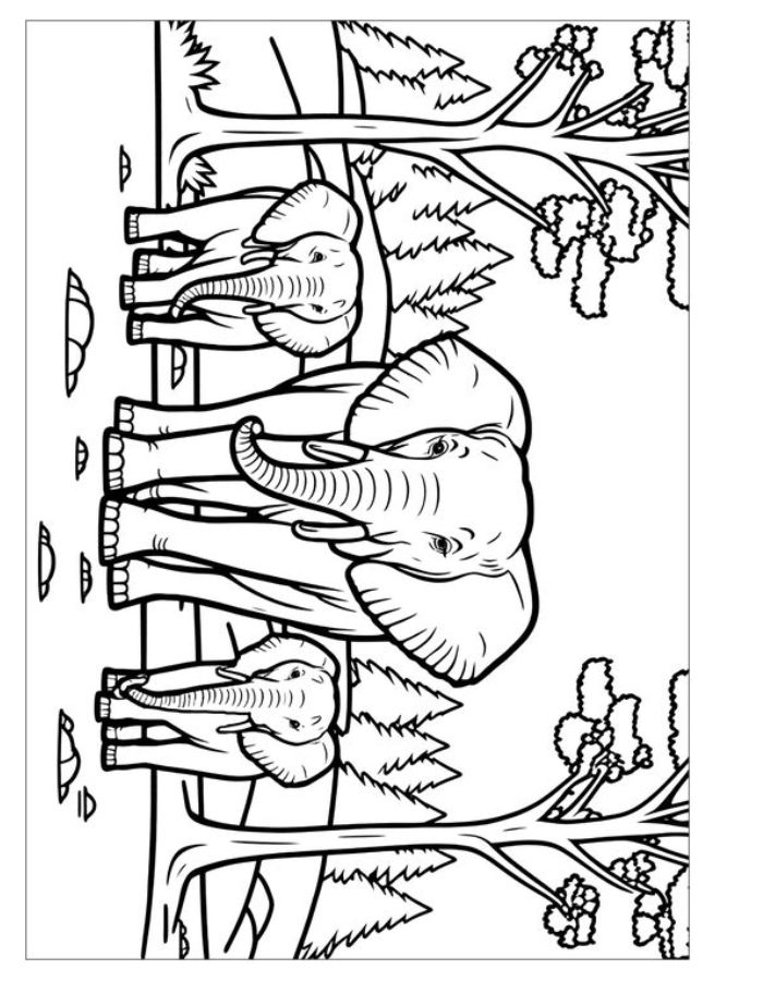 Jungle Color Sheet Coloring Page