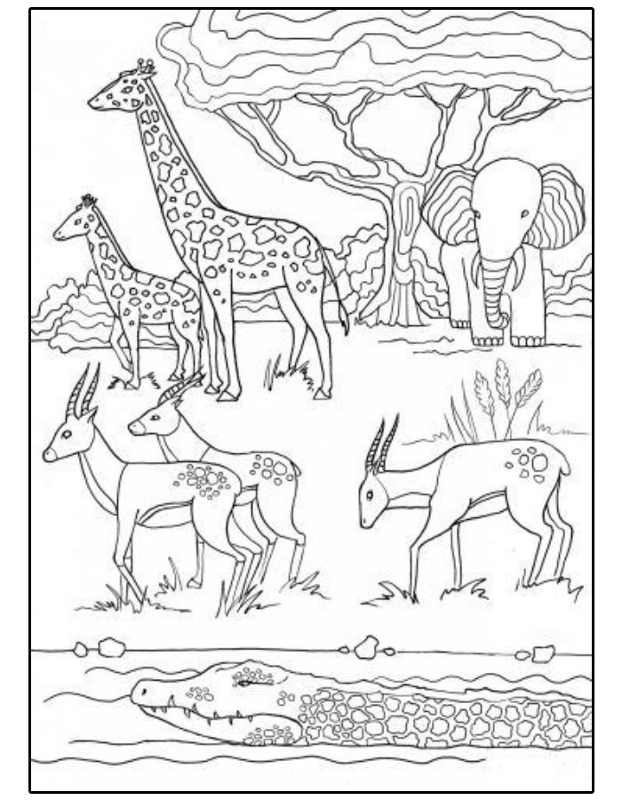 Jungle Line Drawing Coloring Page