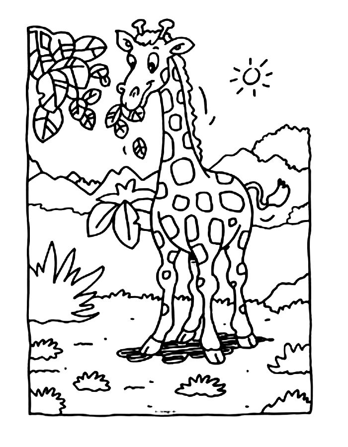 Jungle Printable Pictures Coloring Page