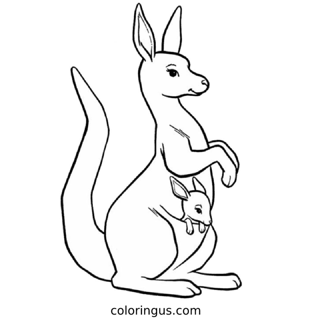 Kangaroo Coloring Pages Free Printable PDF All For One